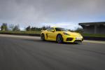 Porsche 718 Cayman GT4 2019 года (WW)